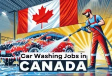 Car Washing Jobs in Canada with Visa Sponsorship ($17 Per Hour)