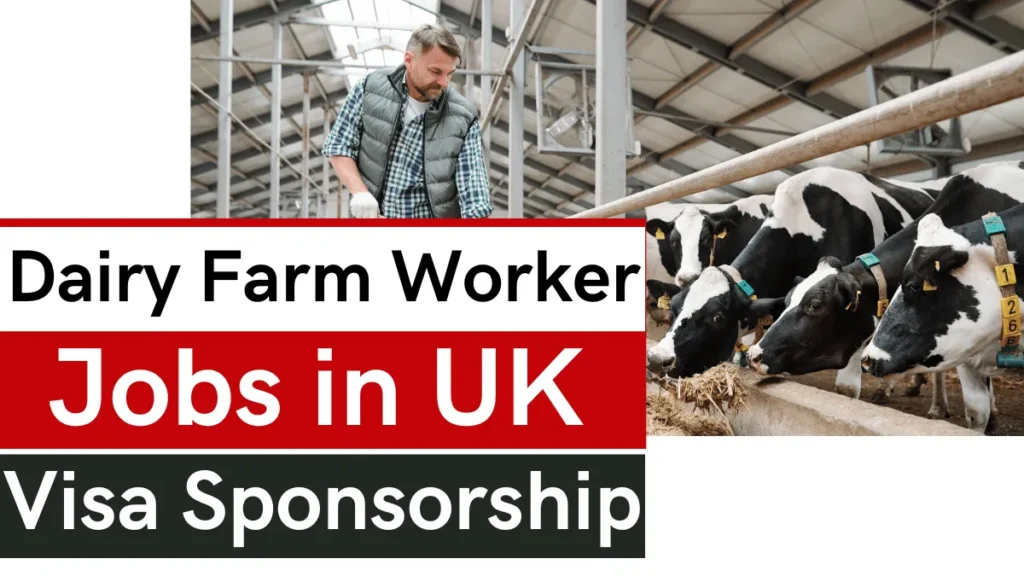 Dairy Farm Worker Jobs in UK with Visa Sponsorship 2025