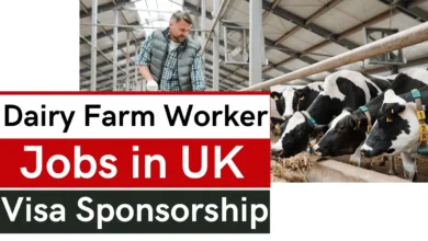 Dairy Farm Worker Jobs in UK with Visa Sponsorship 2025