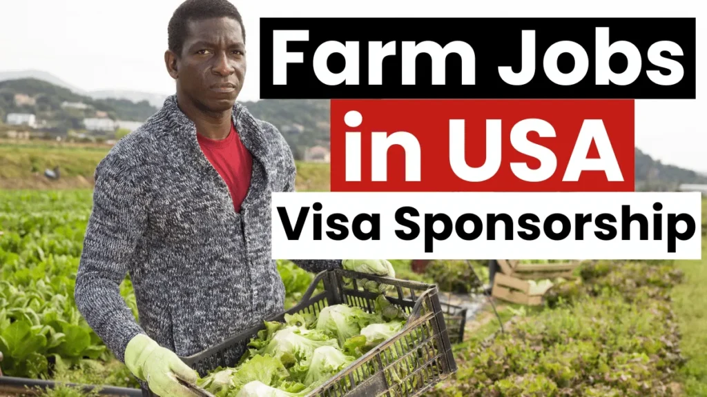 Farm Jobs in USA with Visa Sponsorship 2025