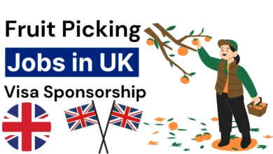 Fruit Picking Jobs in UK with Visa Sponsorship 2025