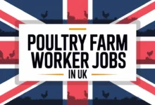 Poultry Farm Worker Jobs in UK with Visa Sponsorship 2025