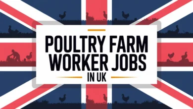 Poultry Farm Worker Jobs in UK with Visa Sponsorship 2025