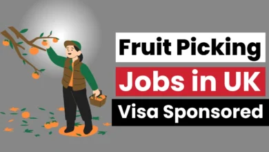 Visa Sponsored Fruit Picking Jobs in UK 2025